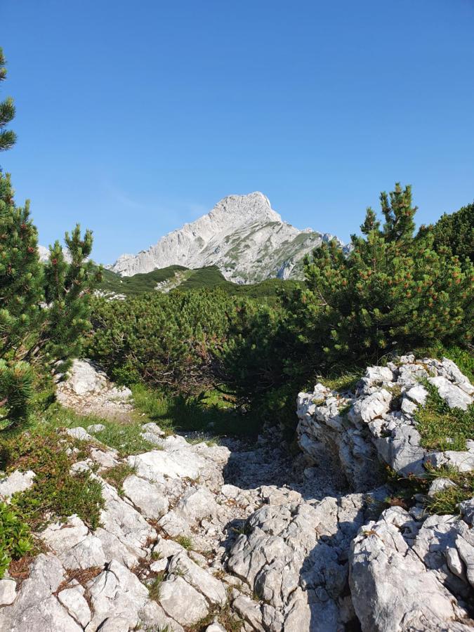 Holiday Home Prdelanca Luče Zewnętrze zdjęcie