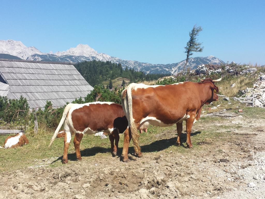 Holiday Home Prdelanca Luče Zewnętrze zdjęcie